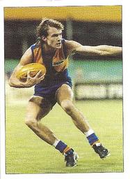 1990 Select AFL Stickers #243 Dean Laidley Front